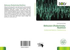 Couverture de Belousov-Zhabotinsky-Reaktion