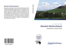 Bookcover of Belsdorf (Wefensleben)