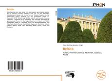 Bookcover of Belsito