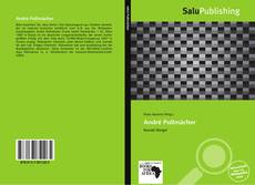 Bookcover of André Pollmächer