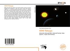 Bookcover of 4343 Tetsuya