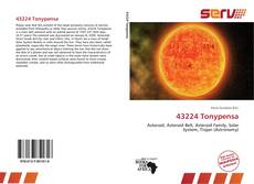 Bookcover of 43224 Tonypensa