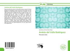 Buchcover von Andrés del Valle Rodríguez