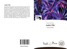 Capa do livro de André Pilz 