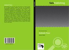 Bookcover of Anduele Pryor