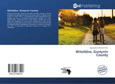 Portada del libro de Witoldów, Gostynin County