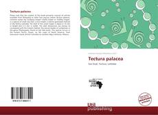 Обложка Tectura palacea