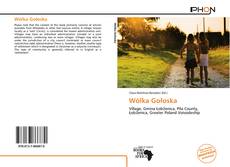 Bookcover of Wólka Gołoska