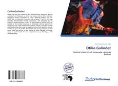 Capa do livro de Otilio Galíndez 