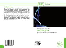 Buchcover von Andžela Brice
