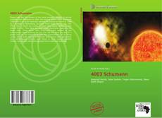 4003 Schumann kitap kapağı