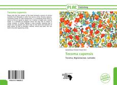 Buchcover von Tecoma capensis