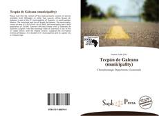 Capa do livro de Tecpán de Galeana (municipality) 