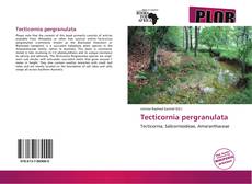 Couverture de Tecticornia pergranulata