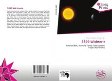 Bookcover of 3899 Wichterle