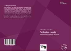 Portada del libro de Anfilogino Guarisi