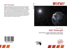 Bookcover of 3831 Pettengill