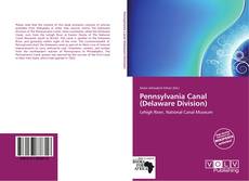 Buchcover von Pennsylvania Canal (Delaware Division)