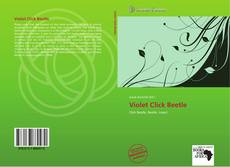 Borítókép a  Violet Click Beetle - hoz
