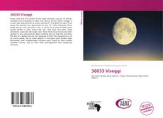 Bookcover of 36033 Viseggi
