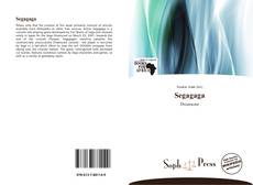 Capa do livro de Segagaga 