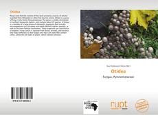 Buchcover von Otidea