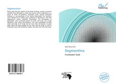 Capa do livro de Segmentina 