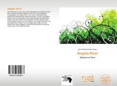 Capa do livro de Angelo River 