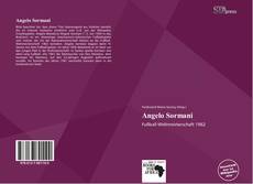 Portada del libro de Angelo Sormani