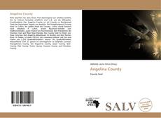 Bookcover of Angelina County