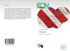 Buchcover von Angern