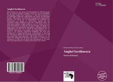 Portada del libro de Anghel Iordănescu