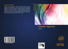 Bookcover of Segunda Angostura