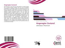 Portada del libro de Angeregter Zustand