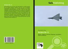 Bookcover of Berijew Be-12