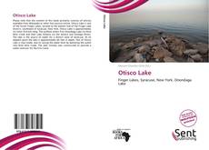 Capa do livro de Otisco Lake 