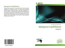 Sphagnum Capillifolium kitap kapağı