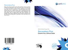 Secondary Flux kitap kapağı