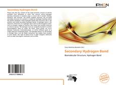 Secondary Hydrogen Bond kitap kapağı