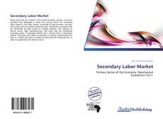 Buchcover von Secondary Labor Market