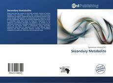Secondary Metabolite kitap kapağı