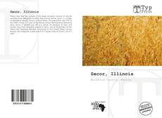 Bookcover of Secor, Illinois