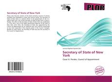 Bookcover of Secretary of State of New York