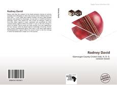 Capa do livro de Rodney David 