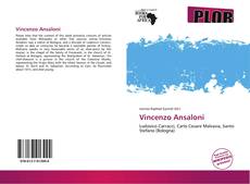Vincenzo Ansaloni kitap kapağı