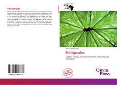 Portada del libro de Peltigerales