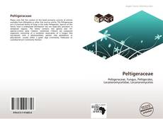 Peltigeraceae的封面