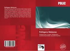 Peltigera Malacea kitap kapağı