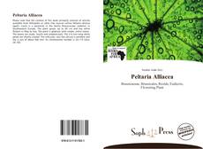Peltaria Alliacea kitap kapağı