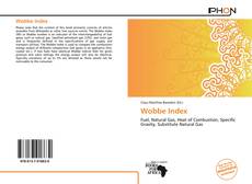 Wobbe Index kitap kapağı